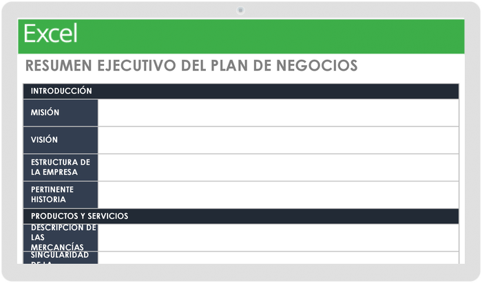 RESUMEN EJECUTIVO DEL PLAN DE NEGOCIOS