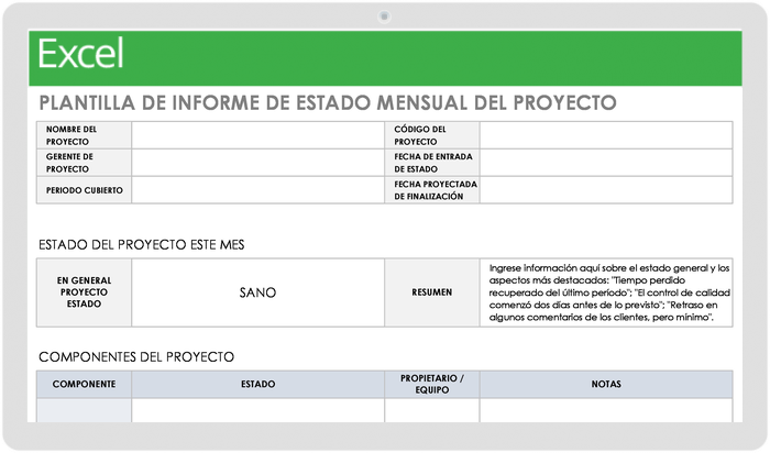 INFORME MENSUAL DEL ESTADO DEL PROYECTO