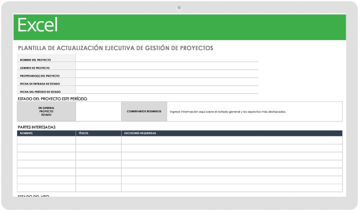  Plantilla de ejecutivo de gestión de proyectos